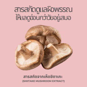 เห็ดชิตาเกะสารสกัดฟื้นฟูผิว