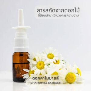 สารสกัดจากดอกคาโมมายล์ Chamomile Extract