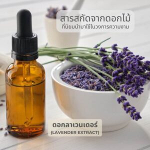 สารสกัดจากดอกลาเวนเดอร์ Lavender Extract