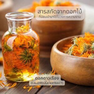 สารสกัดจากดอกดาวเรือง Calendula Extract