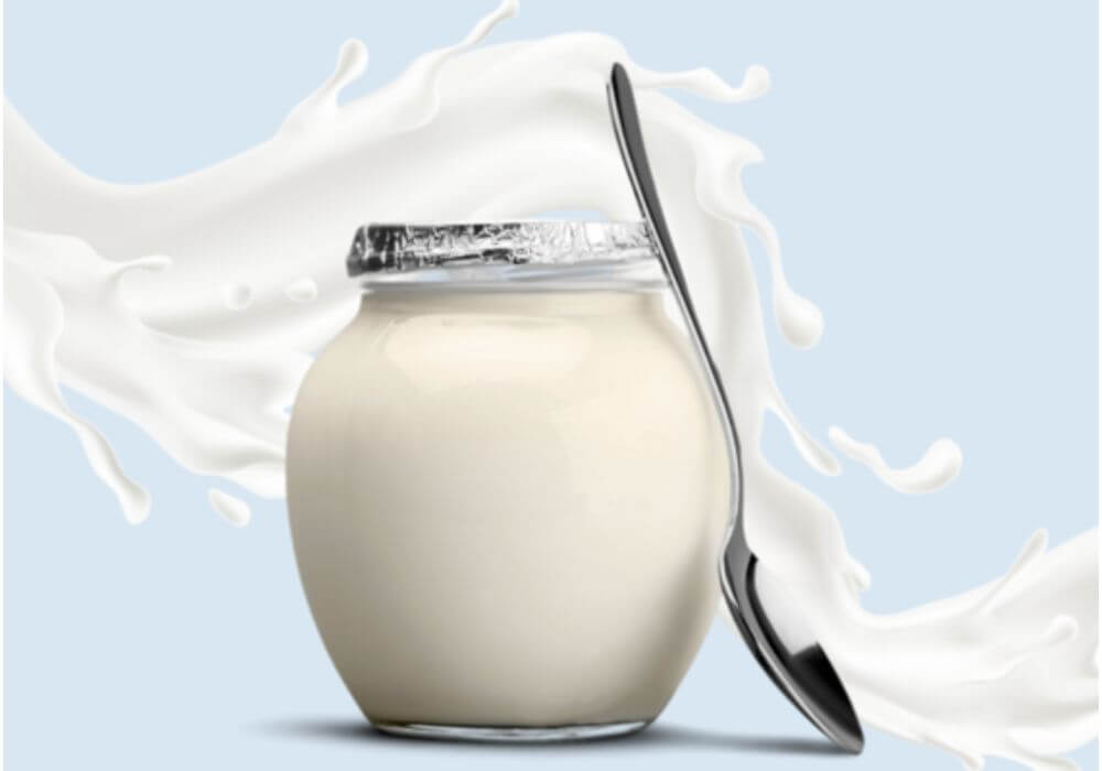 โยเกิร์ต Yogurt เป็นแหล่งโปรตีน ช่วยในการย่อยอาหาร 2 โยเกิร์ต
