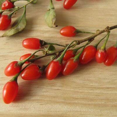 โกจิเบอร์รี่ Goji Berry บำรุงสายตา ช่วยในการควบคุมน้ำหนัก 3 โกจิเบอร์รี่ 1