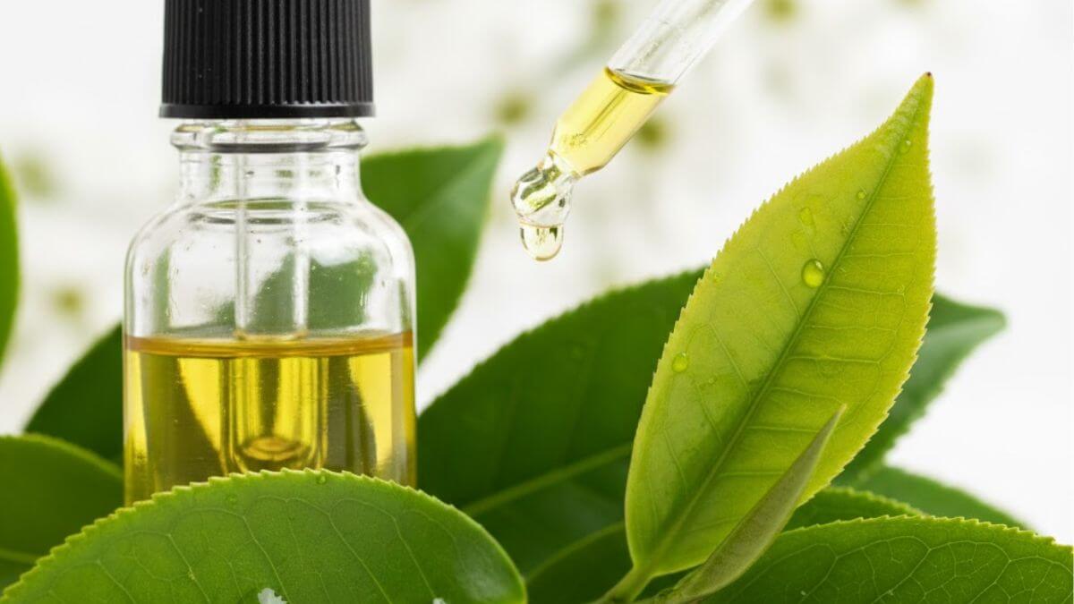 โฟมล้างหน้าสูตรทีทรี ลดความมัน ลดสิว ทำความสะอาดล้ำลึกสำหรับผิวเป็นสิว 4 สารสำคัญในทีทรีออยล์ที่ช่วยลดสิวอักเสบ